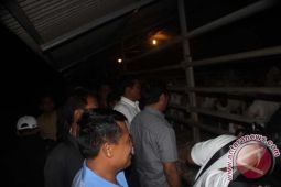 Wagub Bali Studi Banding