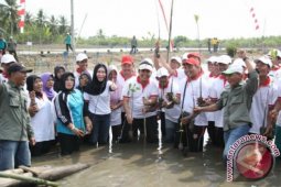 SERIBU POHON