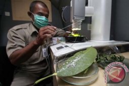Klinik Tanaman Keliling