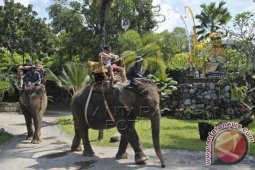 Wisatawan Bali