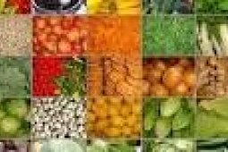 KTNA Banten Minta Petani Tanam Palawija