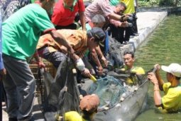 Panen Raya Patin Pasupati