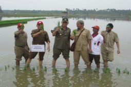 Kelompok Tani Singkawang Mulai Gunakan Teknologi Hazton