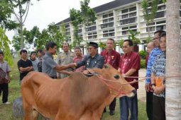 Pemkab Sekadau Serahkan Hewan Kurban Tujuh Masjid