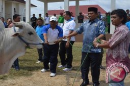 Hewan Kurban di Gorontalo Utara Aman Penyakit Menular