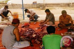 Kurban di Rejanglebong capai 887 ekor
