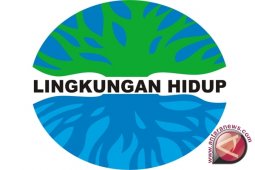 BLH: Pabrik CV MAL Tidak Memenuhi Syarat