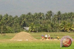Kaltim Butuh Modernisasi Pertanian