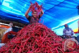 Cabai merah tembus Rp80.000 di Aceh Utara