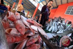 Harga Ikan Di Gorontalo Mengalami Kenaikkan