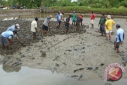 Minim Perhatian, Nelayan Tak Bisa Tingkatkan PAD