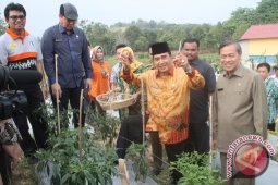 Pusat Percontohan KUAT Demi Pertanian Lebih Maju