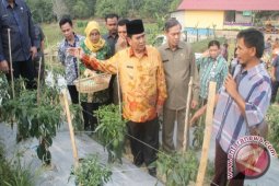 Mewujudkan Ketahanan dan Kemandirian Pangan di Kaltim