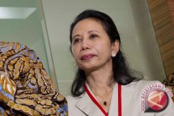 Rini Soemarno Jadi Menteri BUMN