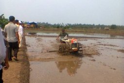Jelang Tanam Pupuk Langka di Ketapang