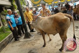 BANTUAN HEWAN KURBAN