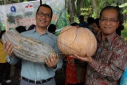 Konsumsi labu Indonesia lebih rendah dibanding Filipina