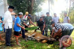 KURBAN PANGKALAN UDARA