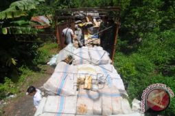 Tangkap Mobil Truk Angkut Ganja