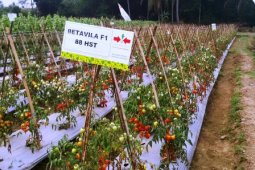 Ewindo Selenggarakan Supermarket Day di Kabupaten Serang