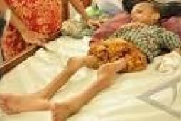 Penderita Gizi Buruk Di Banten Menurun
