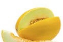 Distanak Banten Dorong Petani Tanam Melon Golden