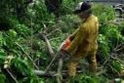 PLT Gubernur Banten Serahkan Bagi Hasil Perhutani