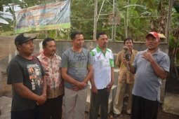 Karantina Burung Hantu