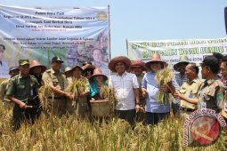 Tanbu Targetkan Produksi 98.164 Ton GKG