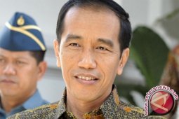 Peneliti: Kini Jokowi Sendirian di Istana