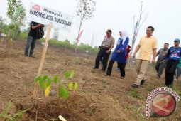 PENANAMAN KEBUN RAYA PEMPROV KALSEL