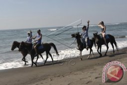 Bisnis Wisata Berkuda