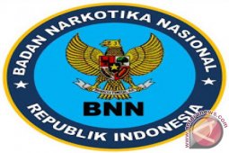 BNN Dukung Eksekusi Mati Gembong Narkoba