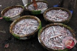 Pangkalpinang Latih Istri Nelayan Produksi Makanan Olahan