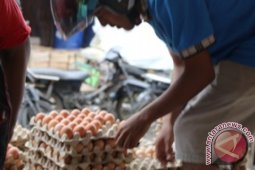 Isu Kenaikan BBM Telur Ayam Mulai Merangkak Naik
