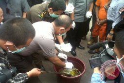 Polda Kalbar Musnahkan 4,4 Kilogram Sabu-sabu Jaringan Internasional