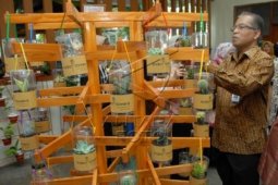 IPB dirikan "science park" pusat tanaman hias