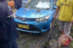 Hujan angin sebabkan sejumlah pohon patah