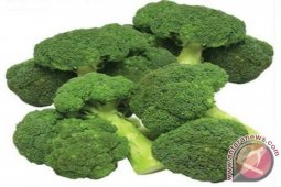 Selenium Tingkatkan Kekebalan Terhadap Kanker