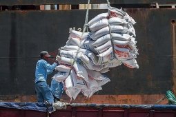 Beras Impor Tidak Masuk Jatim