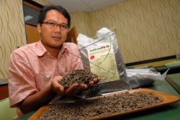 Pakar: Konsentrat hijau solusi kurangi pakan impor