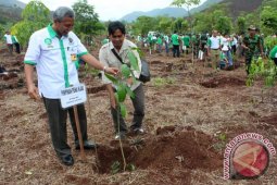 REHABILITASI DAS TAHURA