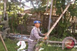 Pemkot Singkawang Kembali Tertibkan Reklame Ilegal