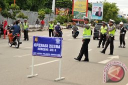 OP Zebra Masih Toleransi
