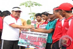 36 Kelompok Tani Dapat Bantuan Bibit