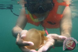 Pertamina Ajak Media Promosikan Pulau Derawan