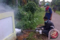Dinkes Ketapang Bergerak Cepat Atasi Penyebaran DBD