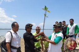 Masyarakat Tanam Bakau Hijaukan Teluk Benoa