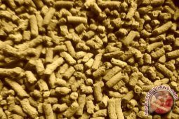 Manfaatkan Bahan Baku Lokal Pakan Ikan