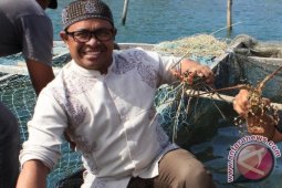Senator Minta Pemerintah Evaluasi Tambang di Aceh